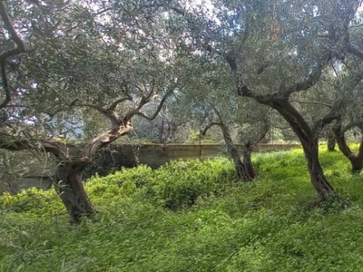 Terreno Residenziale in vendita a Messina pianotorre