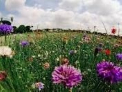 Terreno Residenziale in vendita a Miradolo Terme