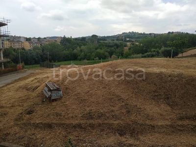Terreno Residenziale in vendita a Monsampolo del Tronto via gramsci, 82