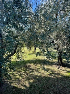 Terreno Residenziale in vendita a Montignoso