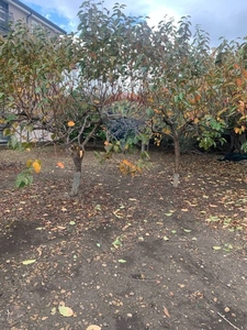 Terreno Residenziale in vendita a Motta Sant'Anastasia via Stazione Motta