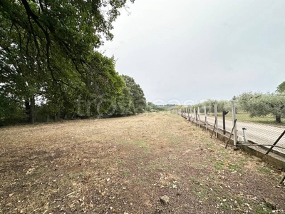 Terreno Residenziale in vendita a Nepi via Del Concio, snc