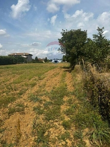 Terreno Residenziale in vendita a Nogara via Alberoni, s.n.c.