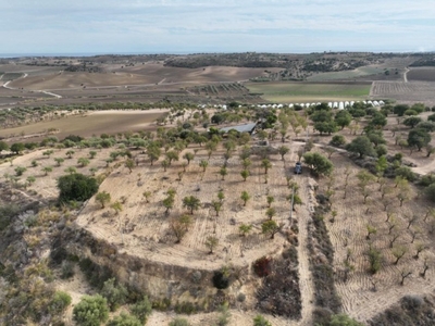 Terreno Residenziale in vendita a Noto c.Da Carcicena