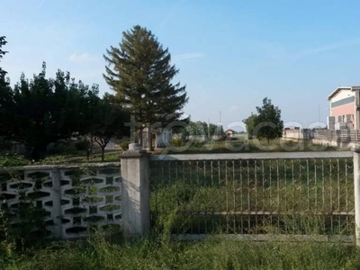 Terreno Residenziale in vendita a Basaluzzo via Novi