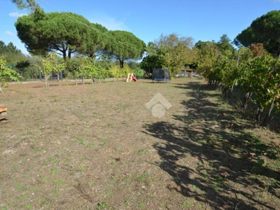 Terreno Residenziale in vendita a Orvieto localita' Villanova