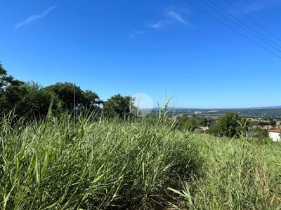 Terreno Residenziale in vendita a Otricoli via Roma