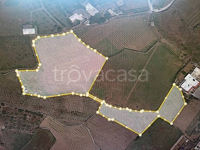 Terreno Residenziale in vendita a Pantelleria via San Francesco Località Margana