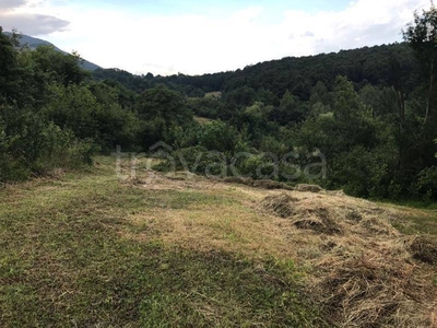 Terreno Residenziale in vendita a Patrica