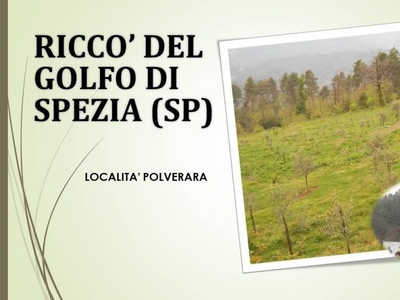 Terreno Residenziale in vendita a Riccò del Golfo di Spezia via Torre, 35