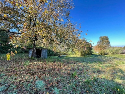 Terreno Agricolo in vendita a Rocca Priora via Rocca Priora