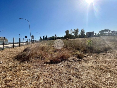 Terreno Residenziale in vendita a Roma via di Tor Vergata, 1