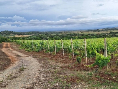 Terreno Residenziale in vendita a Sassari strada Vicinale La corte-campanedda