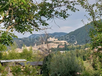 Terreno Residenziale in vendita a Spoleto località Collerisana