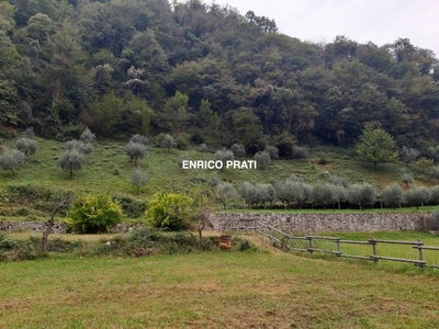 Terreno Residenziale in vendita a Valbrenta via Vialetti, 7