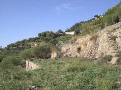 Terreno Residenziale in vendita a Vallebona località morghe