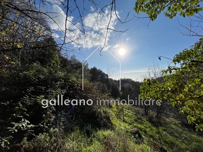 Terreno Residenziale in vendita a Varazze via Fossello