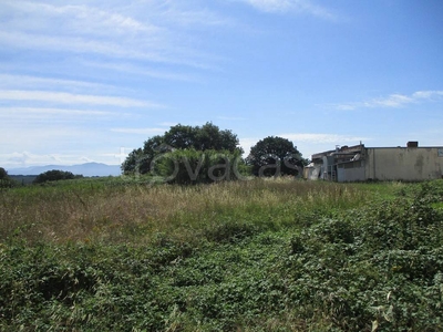 Terreno Residenziale in vendita a Vasanello località Le Piane