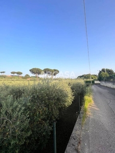 Terreno Residenziale in vendita a Velletri via della Caranella