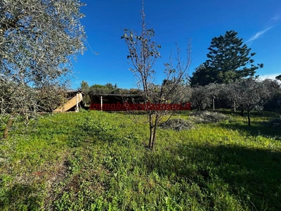 Terreno Residenziale in vendita a Velletri via di Paganico