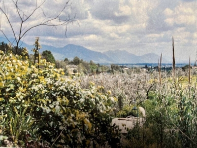 Terreno Residenziale in vendita a Velletri via Enrico De Nicola