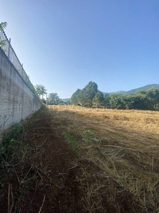 Terreno Residenziale in vendita a Vico nel Lazio contrada Pitocco