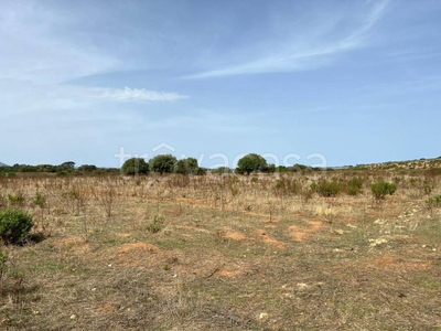 Terreno Residenziale in vendita ad Alghero via giovanni chessa