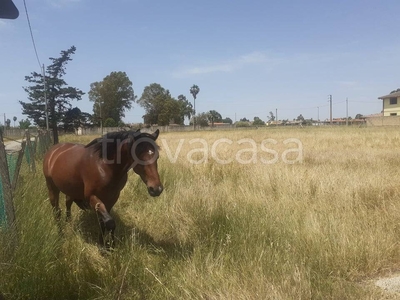 Terreno Residenziale in vendita ad Aprilia via Gari, 25