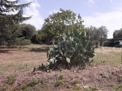 Terreno Residenziale in vendita ad Aprilia via Monte Cristallo