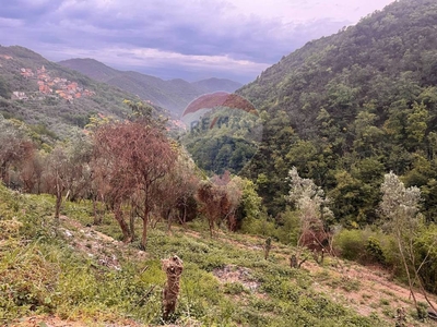 Terreno Residenziale in vendita ad Avegno via dei Turchi