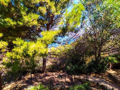 Terreno agricolo in vendita a Sciacca