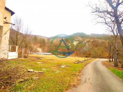 Casa indipendente in Vendita a Piana Crixia