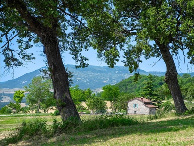 Casa vacanza per 6 persone con giardino