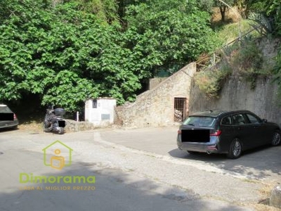 Vendita Terreno Agricolo in CAMAIORE