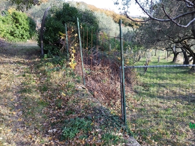 Vendita Terreno Agricolo in San Dorligo della Valle - Dolina