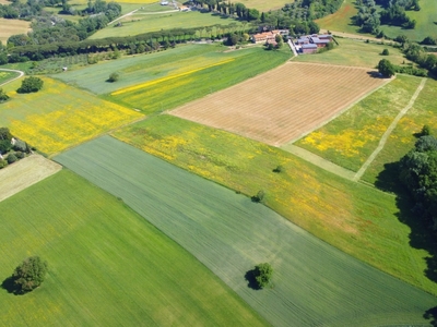 Vendita Terreno Agricolo in Torri in Sabina