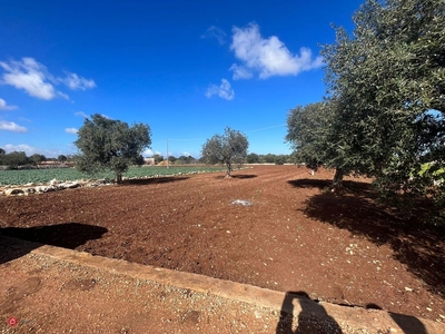 Terreno agricolo in Vendita in Strada Provinciale Polignano Castellana a Polignano a Mare