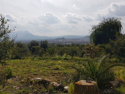 Terreno non edificabile in Via S. Isidoro Monte, Snc, Bagheria (PA)