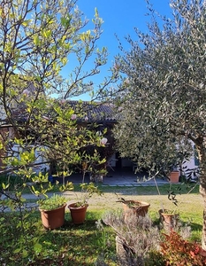 Rustico casale abitabile a Castelfranco Veneto