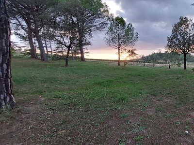 Rustico con giardino a Montespertoli