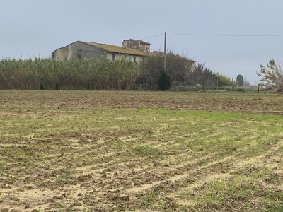 Rustico con giardino, Cascina marciana