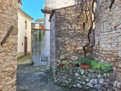 Rustico con giardino, Lucca deccio di brancoli