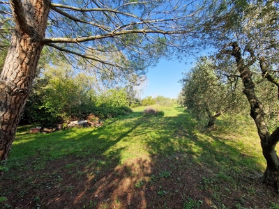 Rustico in vendita, Rosignano Marittimo vada