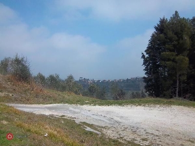 Terreno agricolo in Vendita in a San Miniato