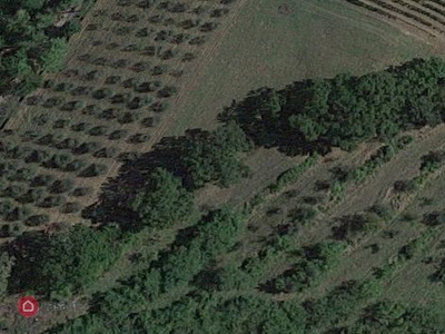 Terreno agricolo in Vendita in a San Miniato