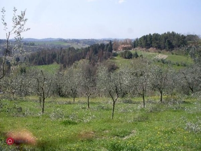 Terreno agricolo in Vendita in Via Calenzano a San Miniato
