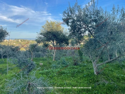 Terreno Agricolo in vendita a Bagheria strada Torre Amalfitano, 47A