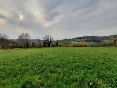 Terreno Agricolo in vendita a Bientina