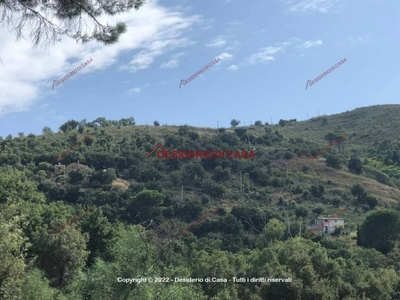 Terreno Agricolo in vendita a Cefalù contrada Vatalara