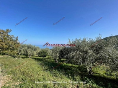 Terreno Agricolo in vendita a Cefalù via Croce Parrino